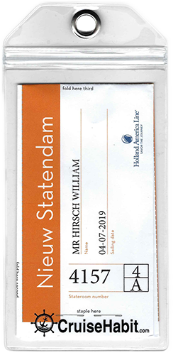 Luggage Tag Holders - Holds Tags for Carnival, Princess, Holland America, MSC, NCL, Cunard - Pack of 10-CruiseHabit